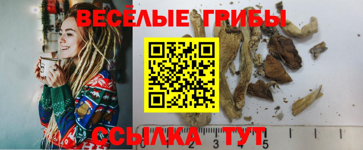 Галлюциногенные грибы Psilocybe  Вход с VPN  Калач-на-Дону 